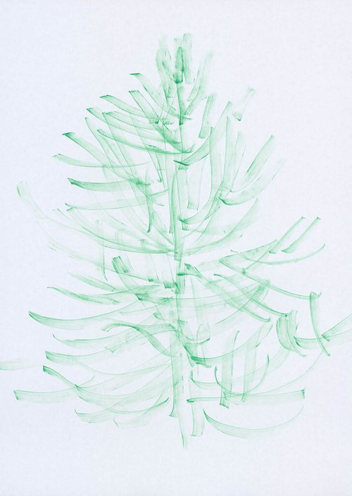 MONKEY_TAIL_TREE_01.jpg