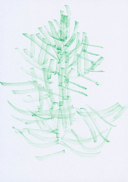 MONKEY_TAIL_TREE_06.jpg