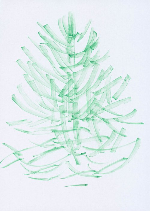 MONKEY_TAIL_TREE_02.jpg
