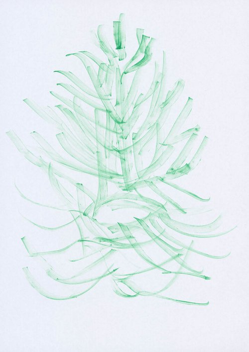 MONKEY_TAIL_TREE_04.jpg
