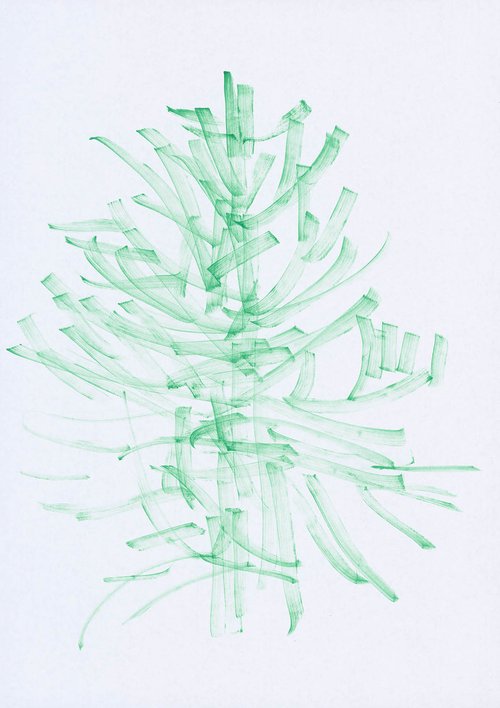 MONKEY_TAIL_TREE_07.jpg